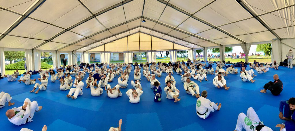 A wide view of the lakeside training area with practitioners spread across the mat